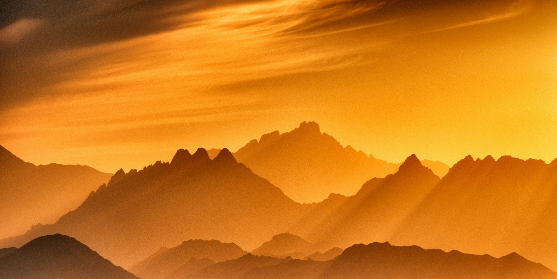 Persoon Met Schaakstuk